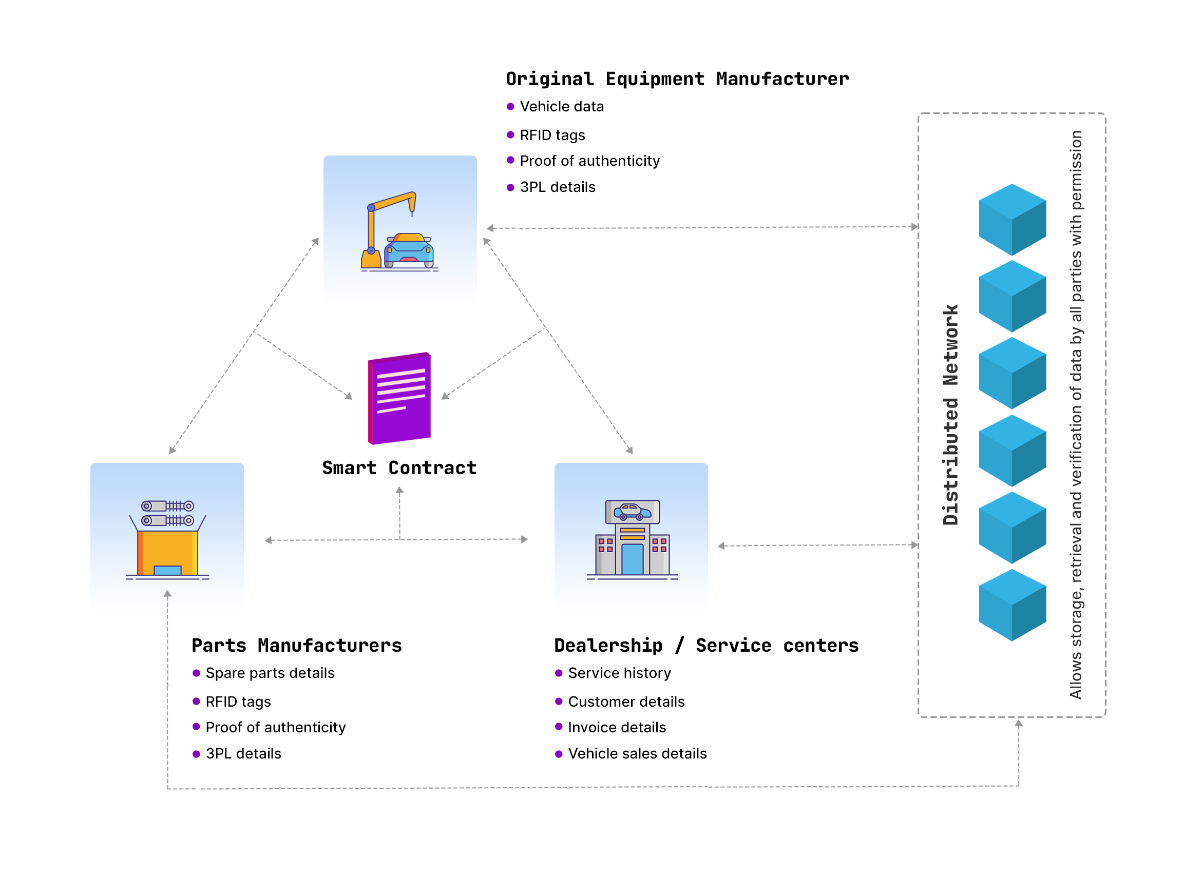 The studied automotive supply chain