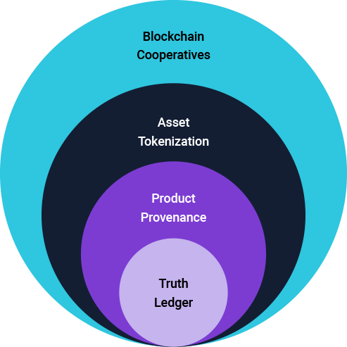 Strategic Shift: Navigating Enterprise Blockchain Adoption